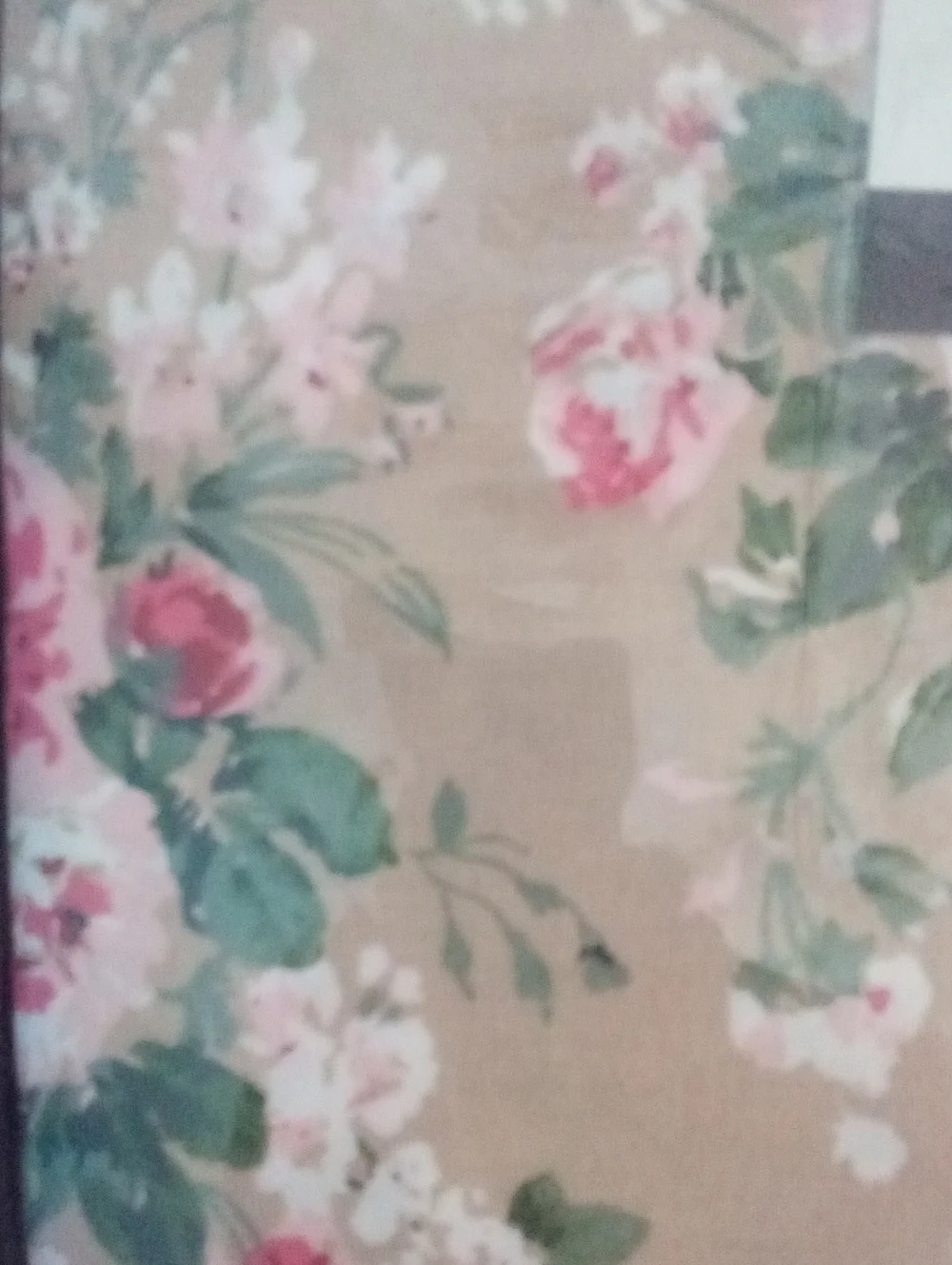 Laura Ashley Beige Floral Cotton Percale Twin Sheet Set NWT $120